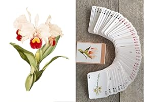 FLONZGIFT Beautiful Flowers Playing Cards (Poker Deck 54 Cards All Different) Vintage Flowers Botannical Illustration by Redo
