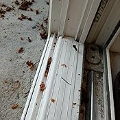 Replace screen on screen door Replace screen on screen door