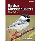 Birds of Massachusetts Field Guide (Bird Identification Guides)