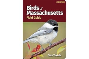 Birds of Massachusetts Field Guide (Bird Identification Guides)