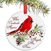 Jocidea Red Cardinal Christmas Ornaments - Memorial Gifts for Loved One, Sympathy Gifts