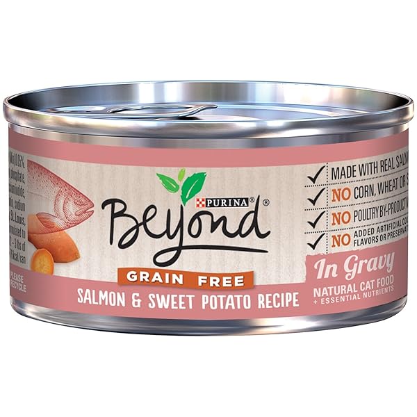 BEYOND DRY CAT PURINA GRAIN FREE SALMON AND SWEET POTATO RECIPE CAN, 3 OZ,12 CANS
