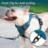 PoyPet No Pull Dog Harness Reflective Easy On Front Back Leashes XL view 2