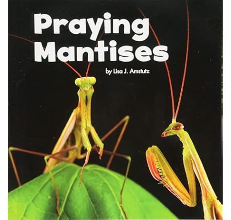 praying mantis puppet