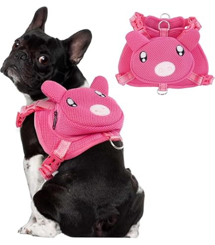 Arnés De Mochila Para Perro Con Correa Para Perros Para Llevar