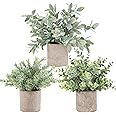 Der Rose 3 Pack Mini Potted Fake Plants Artificial Plastic Eucalyptus Plants for Home Office Desk Farmhouse Room Decor Indoor