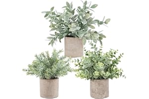 Der Rose 3 Pack Mini Potted Fake Plants Artificial Plastic Eucalyptus Plants Topiaries for Home Office Desk Farmhouse Room Bathroom Decor