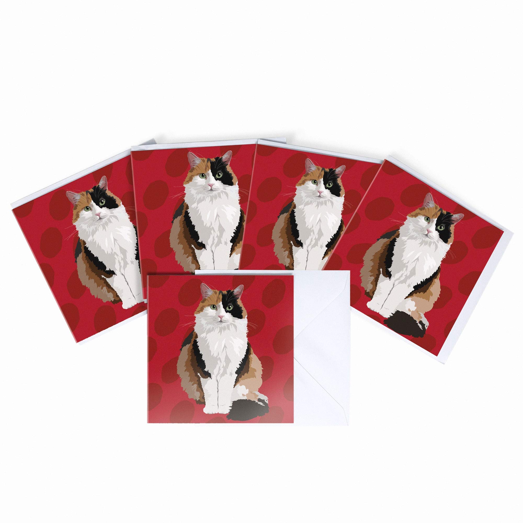 Tort Cat Blank Greeting Card by Leslie Gerry - Pack of 5 Multipack