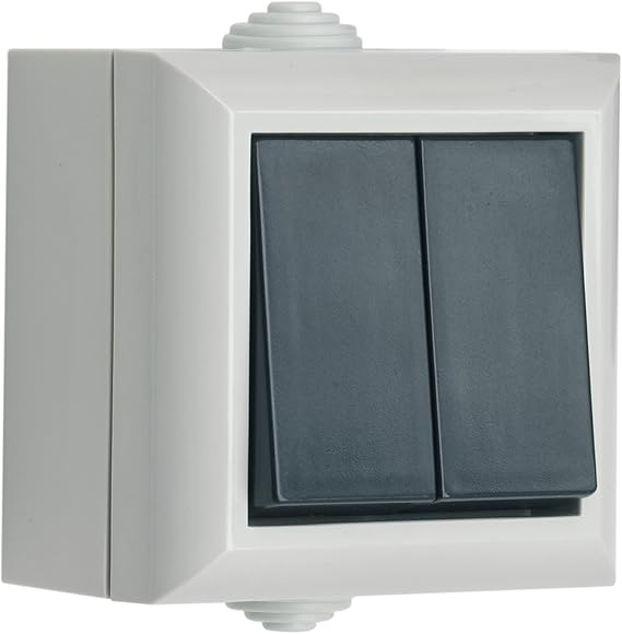 SMJ EP2G1B - Caja con Interruptor Doble: Amazon.es: Bricolaje y herramientas