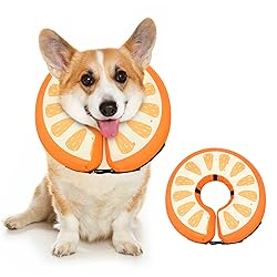 Dog Cone Collar for Small Medium Large Dogs for