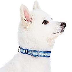 Blueberry Pet Large Dog Collar in Reflective Navy