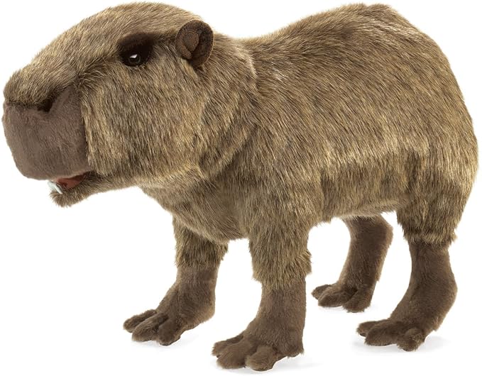 capybara doll