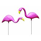 Bloem Mini Mingo Flamingo Garden Statue 2-Pack (G52)
