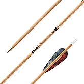 Gold Tip Traditional Shafts (Pack of 12)
