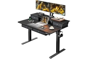 ErGear Standing Desk with Drawers, 48 x 30 Inches Height Adjustable Desk with Storage, Electric Sit Stand Desk, 4 Memory Preset Computer Home Office Desk with Cable Management Tray, Black