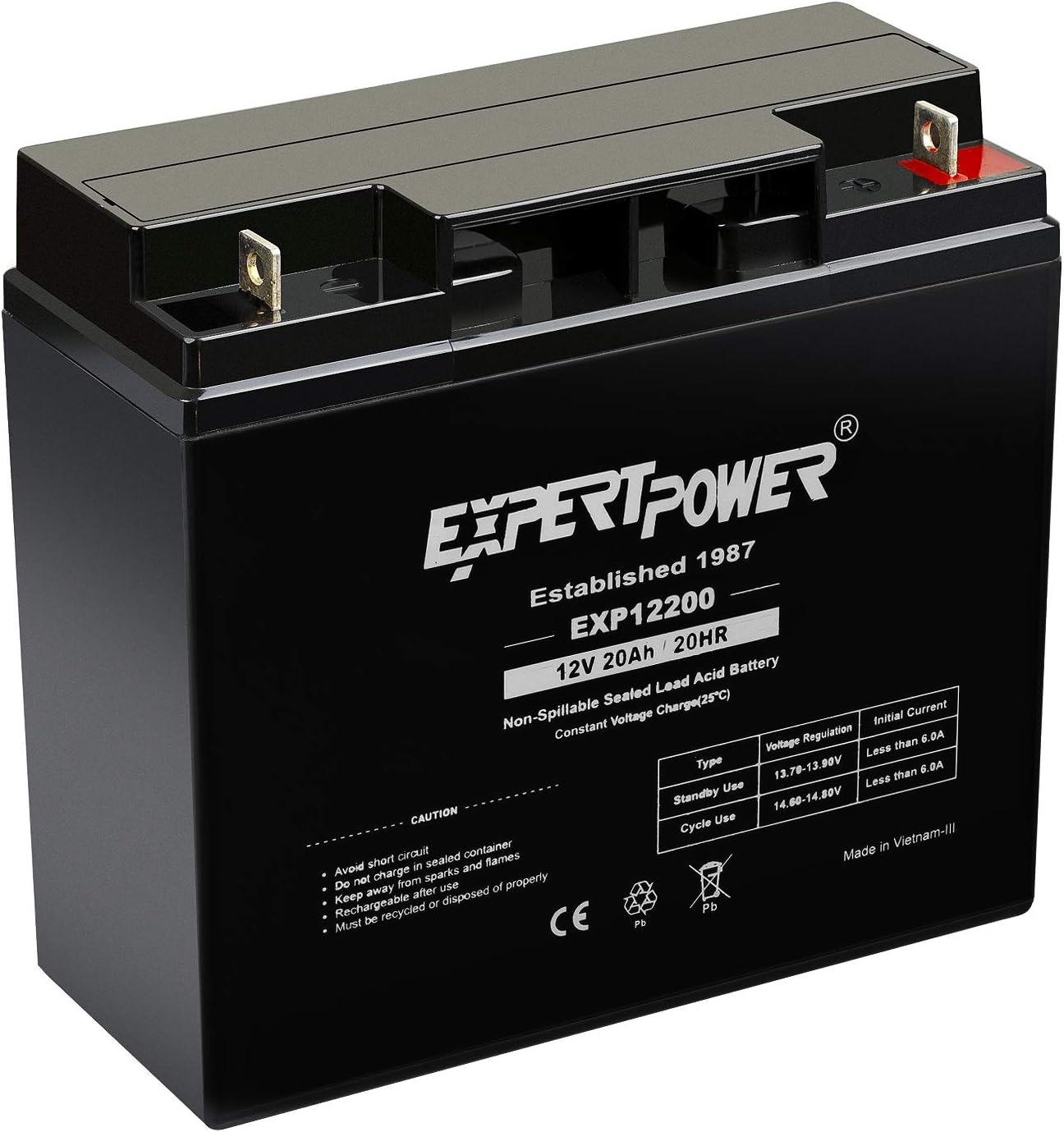 ExpertPower 12 Volt 20 Ah Rechargeable Battery with Threaded Terminals [EXP12200]: Automotive