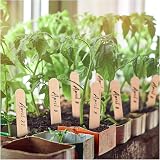 LR Supplies 50 Wooden Plant Labels with Pencil Marker Sticks 92mm x 9mm view 8