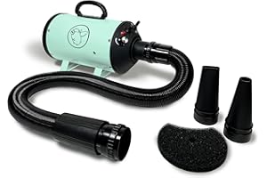 FLYING PIG GROOMING Flying Pig High Velocity Dog Pet Grooming Dryer w/Heater (Flying One, Mint w/Grey Logo)