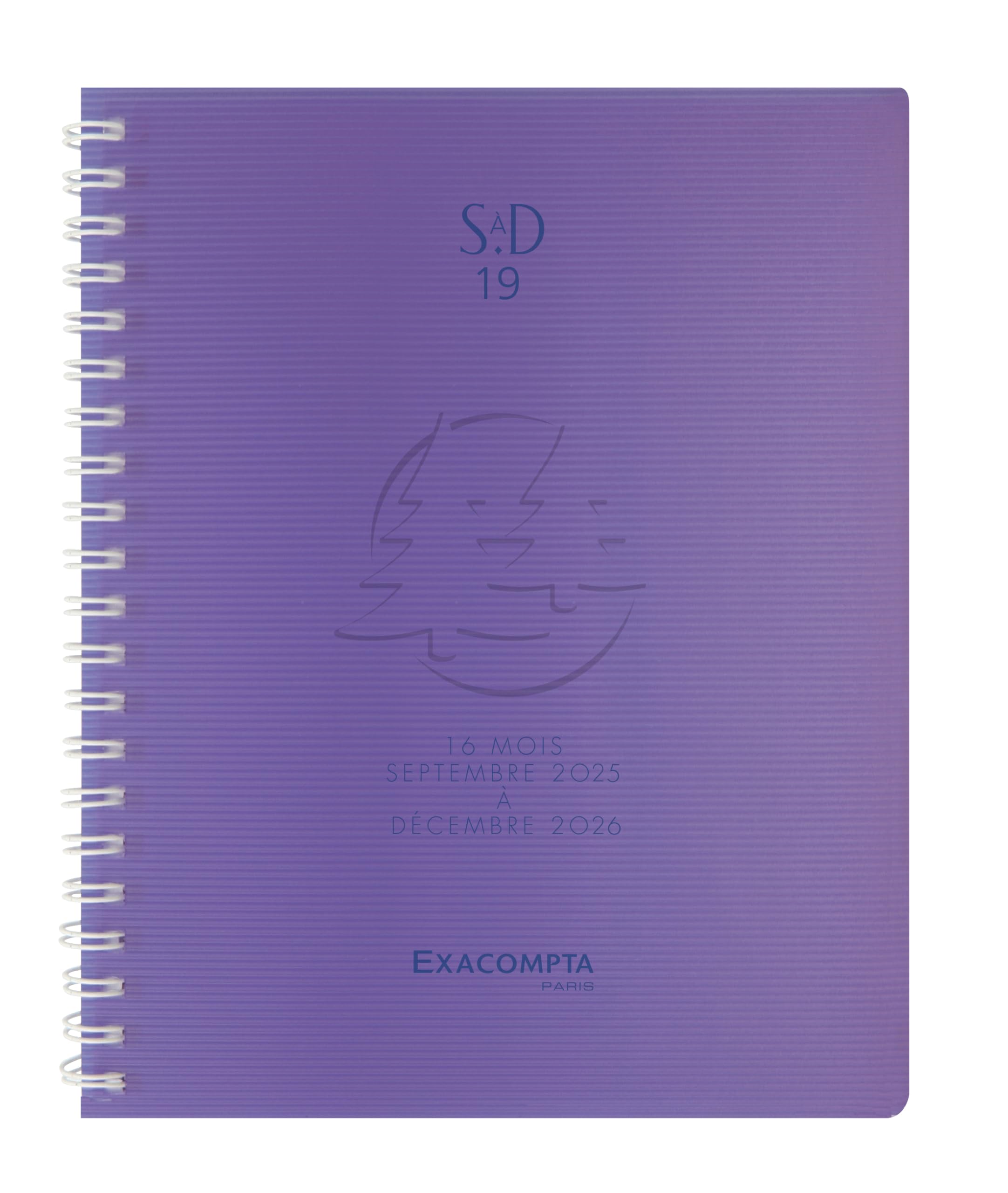 Exacompta Linicolor Sad 19 W Academic Desk Diary Spiral Diary December 2018 September 2017 Metal Random Colour)