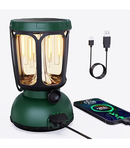 Amazon.com: Whetstone 6 LED Solar and Dynamo Powered Camping