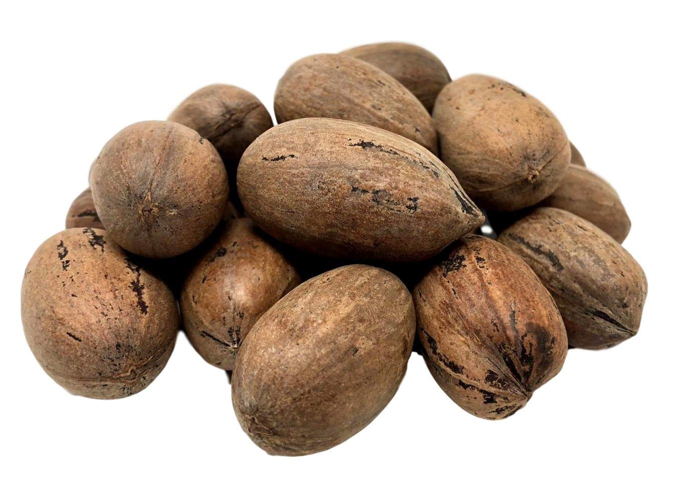 NUTS U.S. Pecans In shell Whole, Raw and Unsalted No