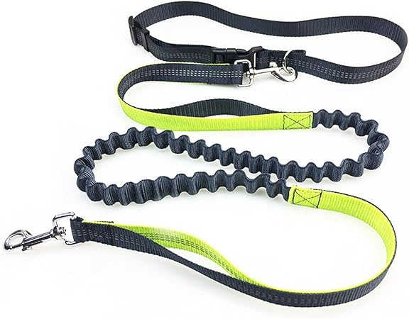 dog leash running belt