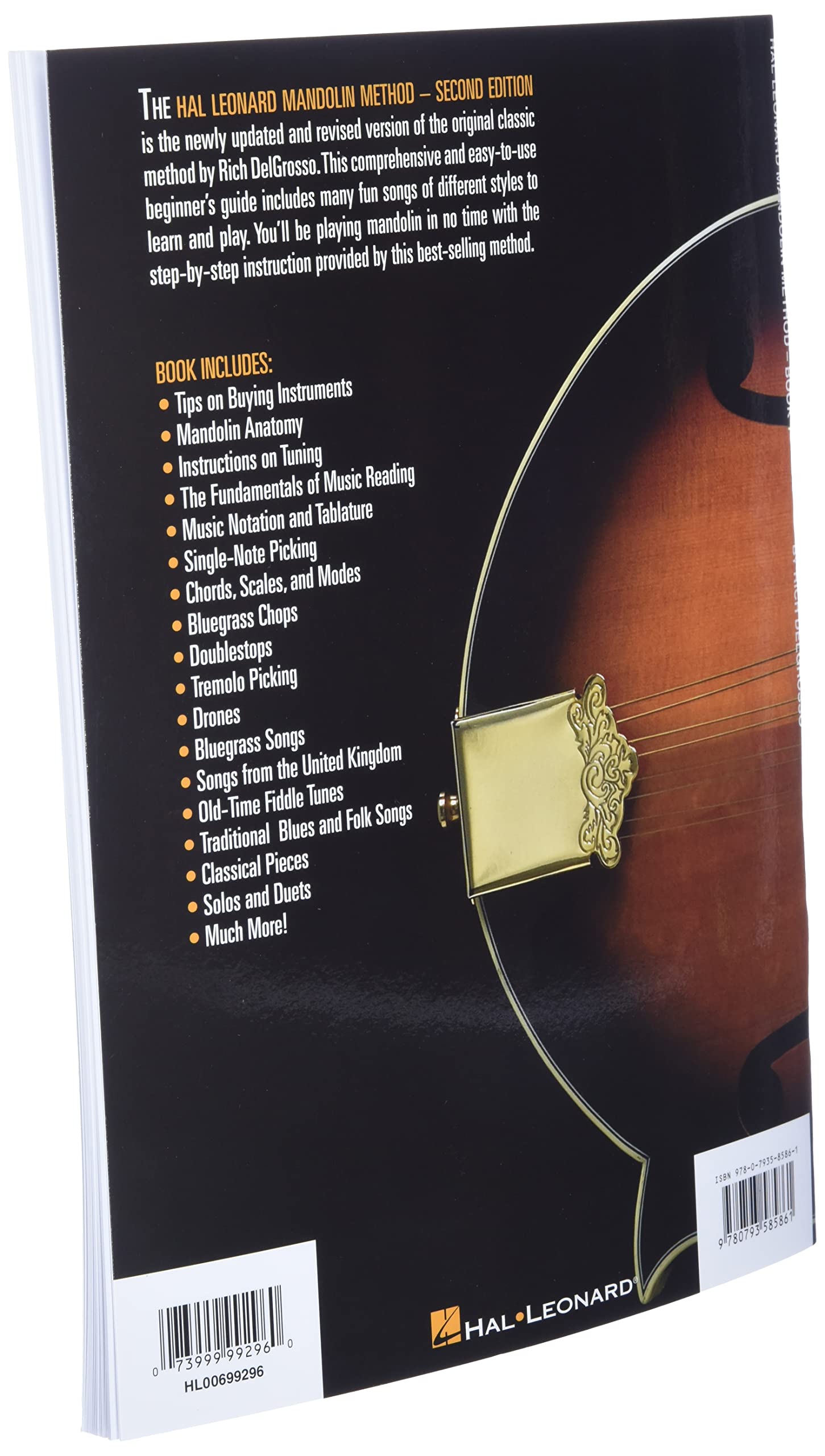 Best Mandolins For Beginners In 2023 The Ultimate Guide