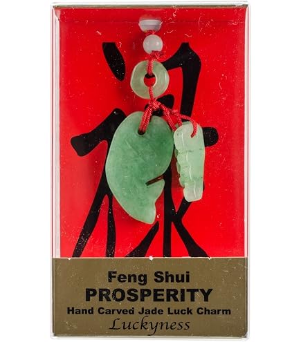 Amazon.com: Zorbitz Inc Feng Shui Luck Charms Prosperity, Acrylic