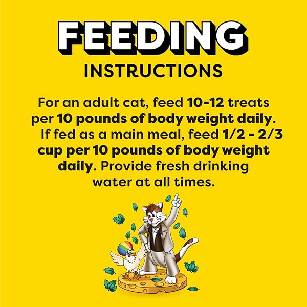 TEMPTATIONS CAT TREATS, CLASSIC CRUNCHY AND SOFT CAT TREATS, CATNIP FEVER FLAVOR, CATNIP TREATS, 48 OZ. BAG