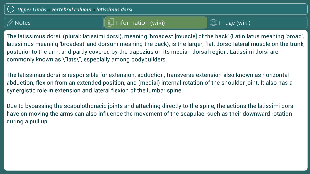Visual Anatomy - Human body