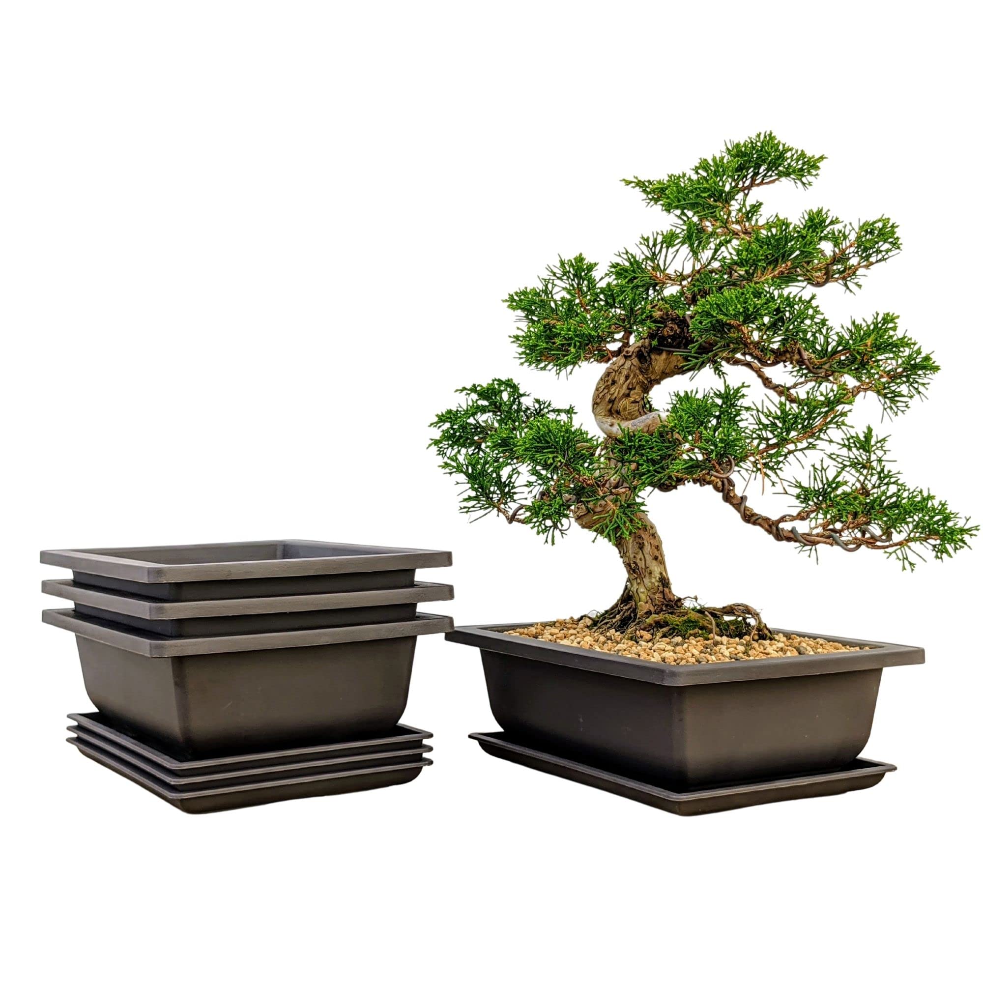 Photo 1 of Bonsai Outlet Training Pots with Humidity Trays - Built in Mesh, Brown 8-Inch Large Planters + Made from Durable Shatter Proof Poly-Resin, Set of 3 Pot Set