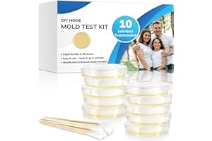 JASINBER Mold Test Kit for Home, 10 Detection Tests for HVAC, Surfaces & Indoor Air Quality, DIY Mold Detector for Home, Black Mold Testing Kits at Home Include Mold Identification Guide& Free Lab Analysis