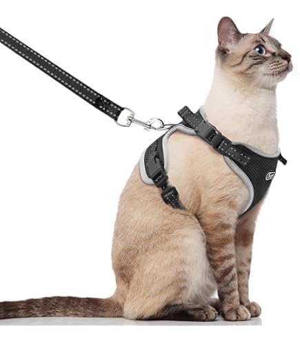 Cat Leash And Harness Pet Supplies And Leash Set For Outdoor