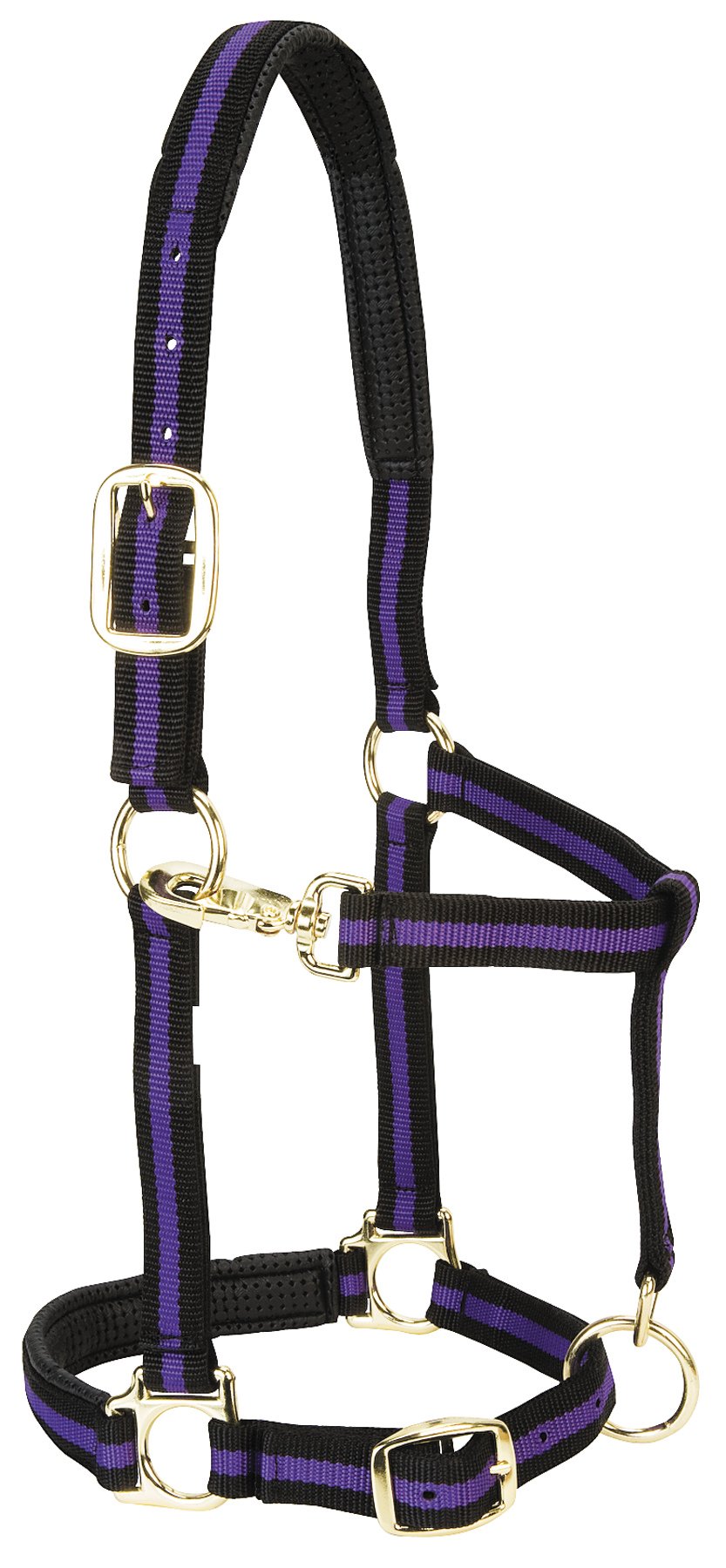 Weaver Leather Padded Adjustable Nylon Horse Halter, Purple, 1" Small Horse