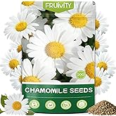 Fruivity 2300+ German Chamomile Seed Pack, Perennial Seeds for Planting, Herb Seed to Plant, Easy to Grow, High Germination, for Home Garden Indoor Outdoor