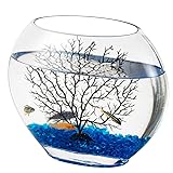 hygger Mini Glass Oblate Fish Bowl Kit, Small Fish