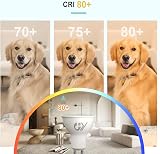 GY GU10 LED Bulb 4.9W 790lm 4000K 110° Beam Non-Dimmable 2 Pack view 5