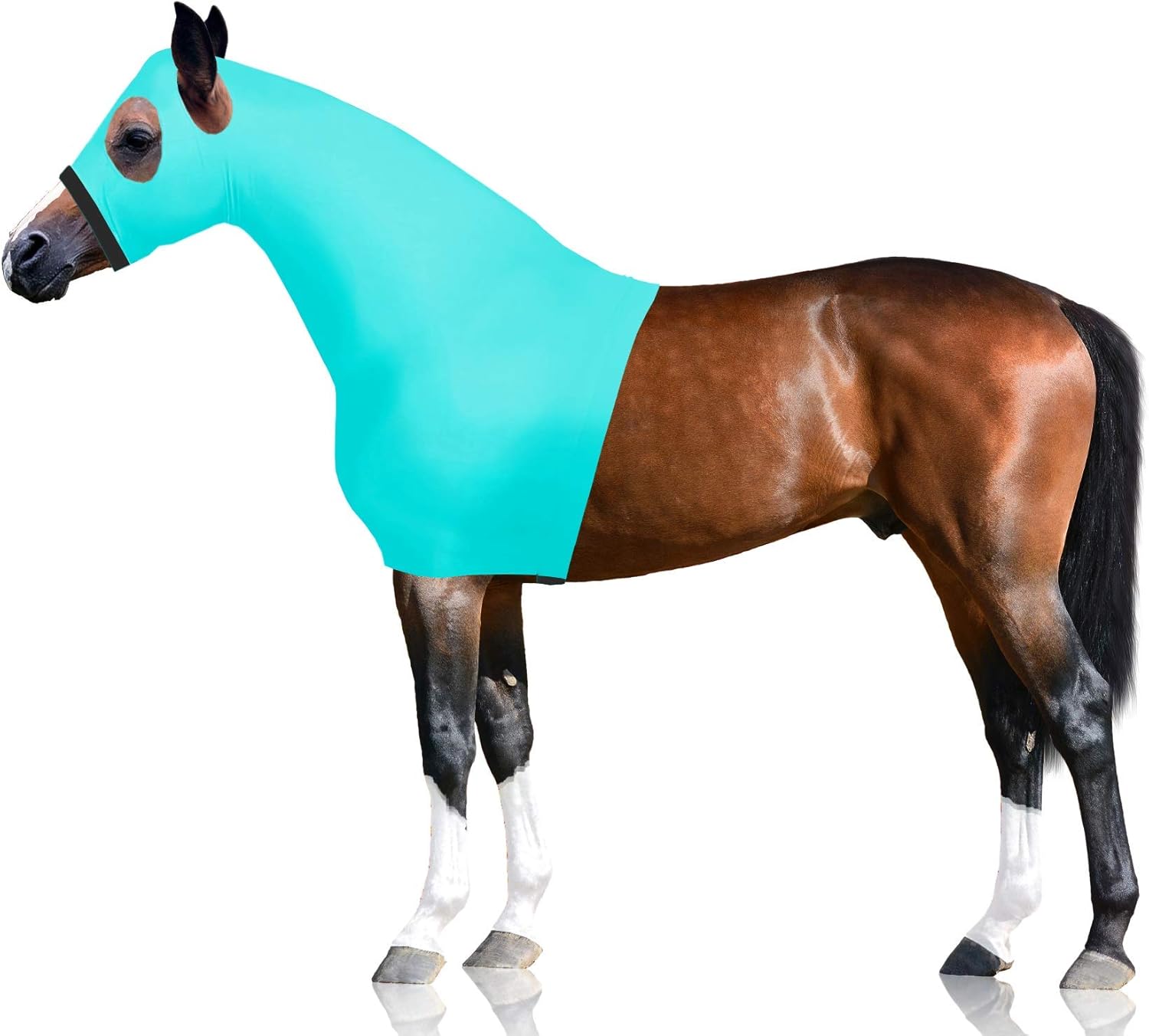 Multiple Colors and Sizes Derby Originals Lycra Stretch Horse Hoods