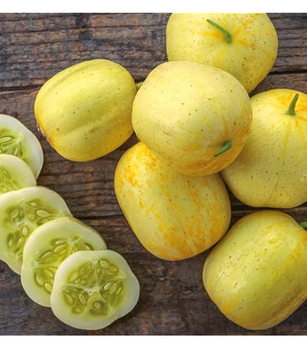 ジェモロジー ルナポニー ウォーターメロン Hydro Flask - 21 oz Standard Mouth / Watermelon*ウォーター