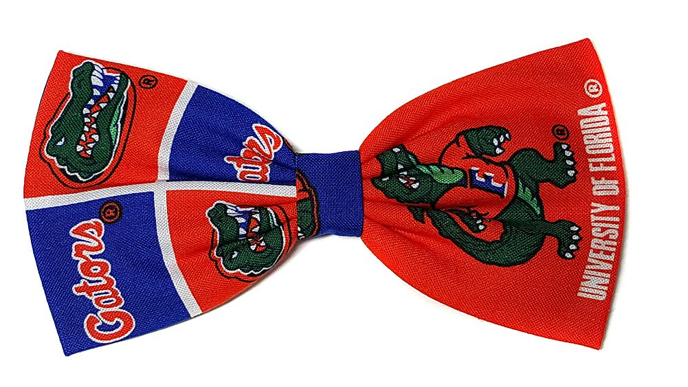 Alligator University of Florida Football Go Gators Hair Bows Hairbows