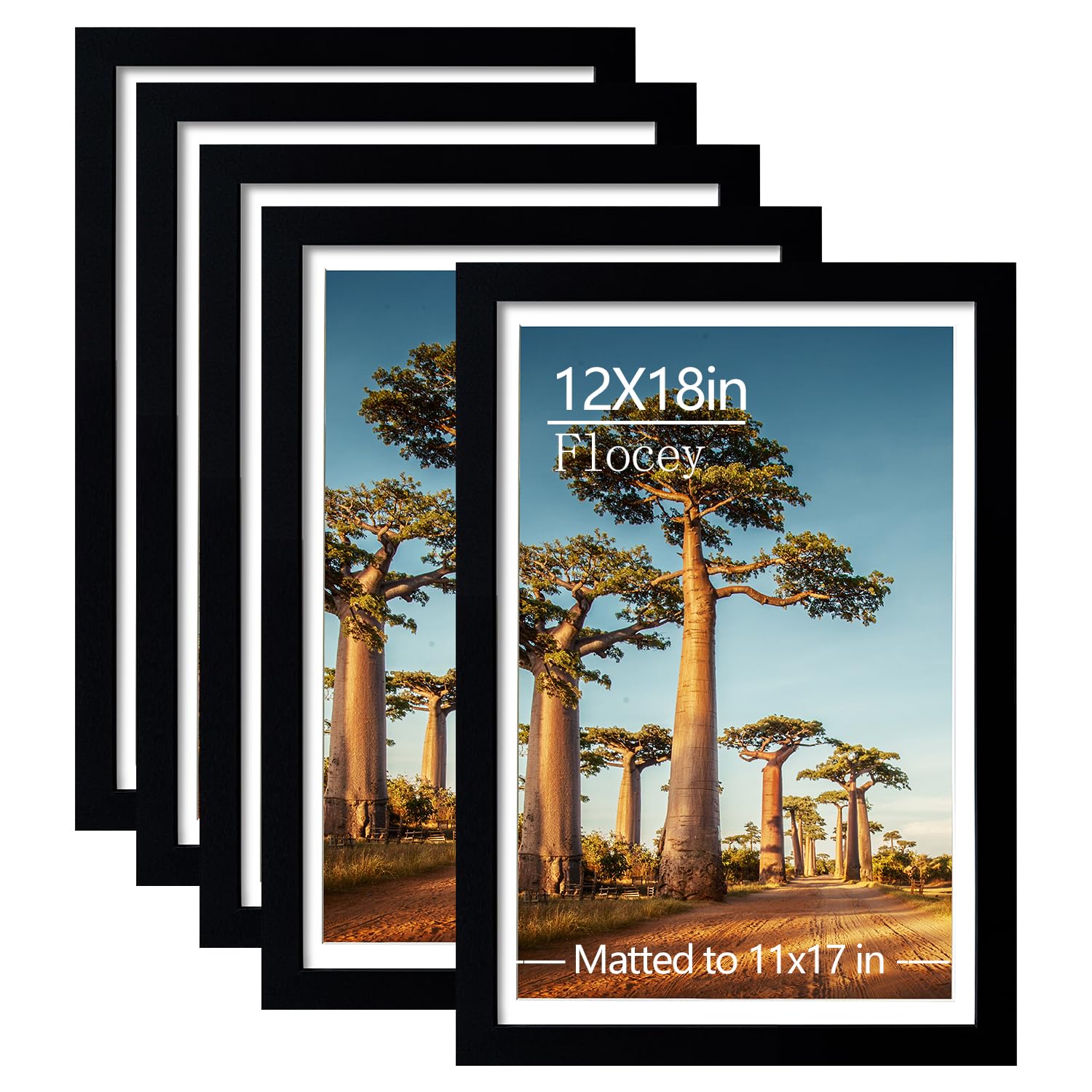 Photo 1 of 12x18 Picture Frame Set of 5, Black Poster Frame, Display Pictures 11 x 17 with Mat or 12 x 18 Without Mat for Horizontal or Vertical Wall Mounting, Wall Gallery Frame
