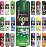 Classic Signature All Purpose Forest Green Aerosol Spray Paint 400ml