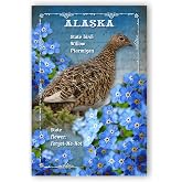 ALASKA BIRD AND FLOWER postcard set of 20 identical postcards. AK state symbols post cards. Made in USA.