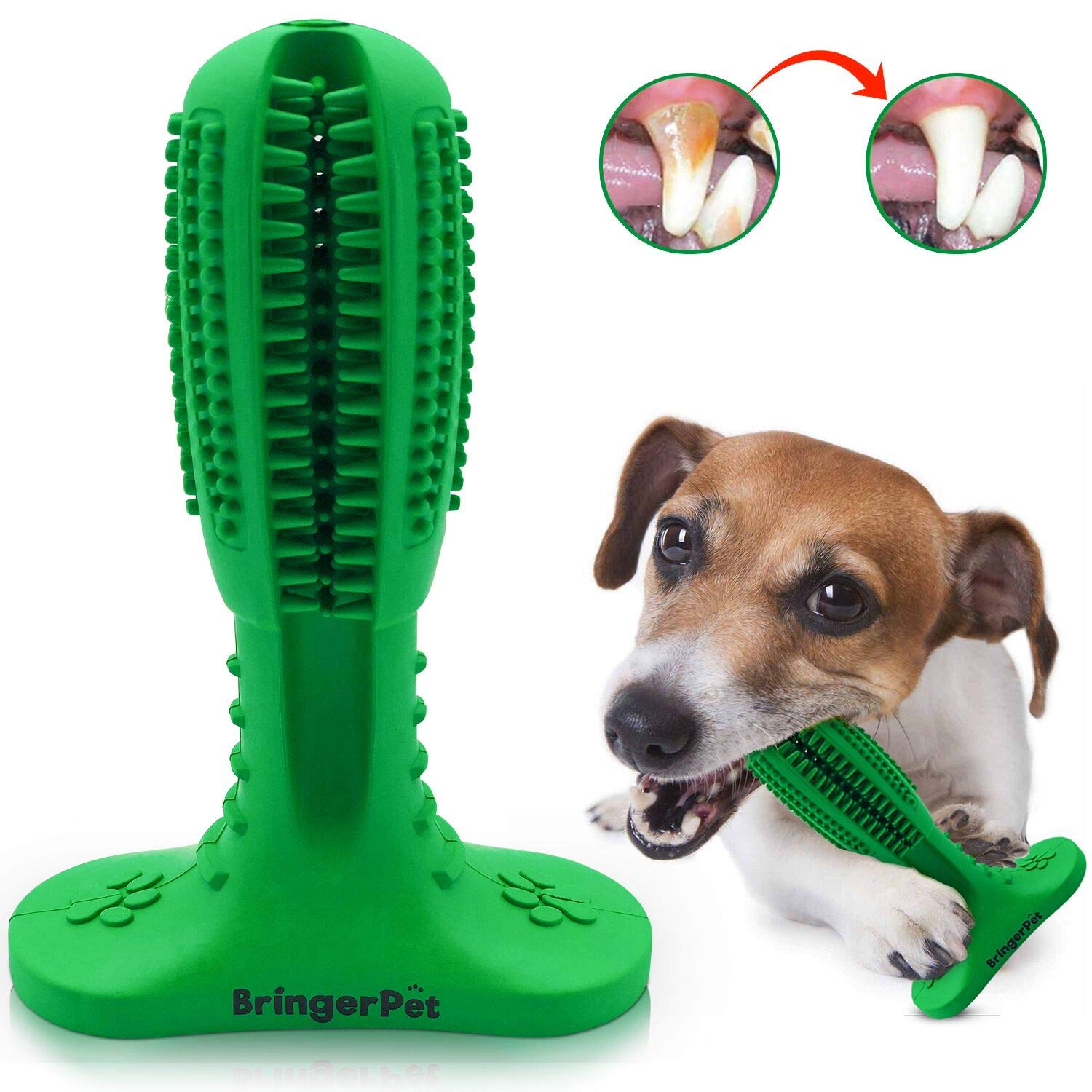 green dog toothbrush