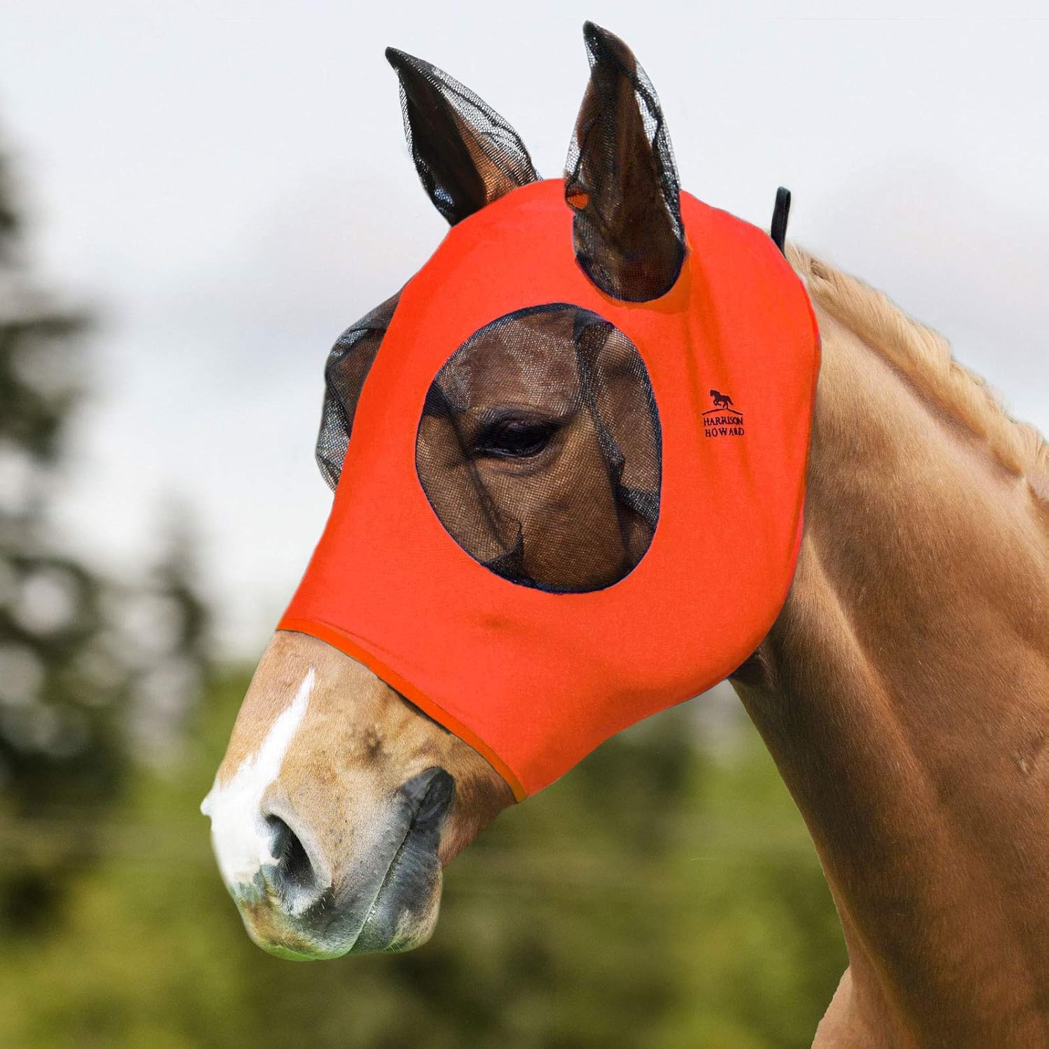 Harrison Howard Horse Fly MaskVibrant Orange Pet Supplies
