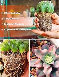 TOYPOPOR Succulent Soil, Cactus Potting Mix 6