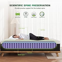 JEEKEA Queen Mattress in a Box - 10 Inch Memory