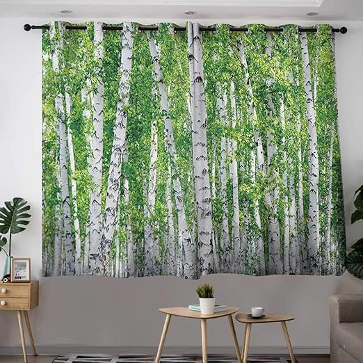 Amazon Com Kids Curtains Birch Tree Fresh Green Leaves Summer