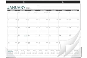 LORTARL 2025-2026 Desk Calendar - Desk Calendar 2025-2026, 22"x17" Desktop Calendar, Jan. 2025 - Jun. 2026, Corner Protectors, Large Ruled Blocks