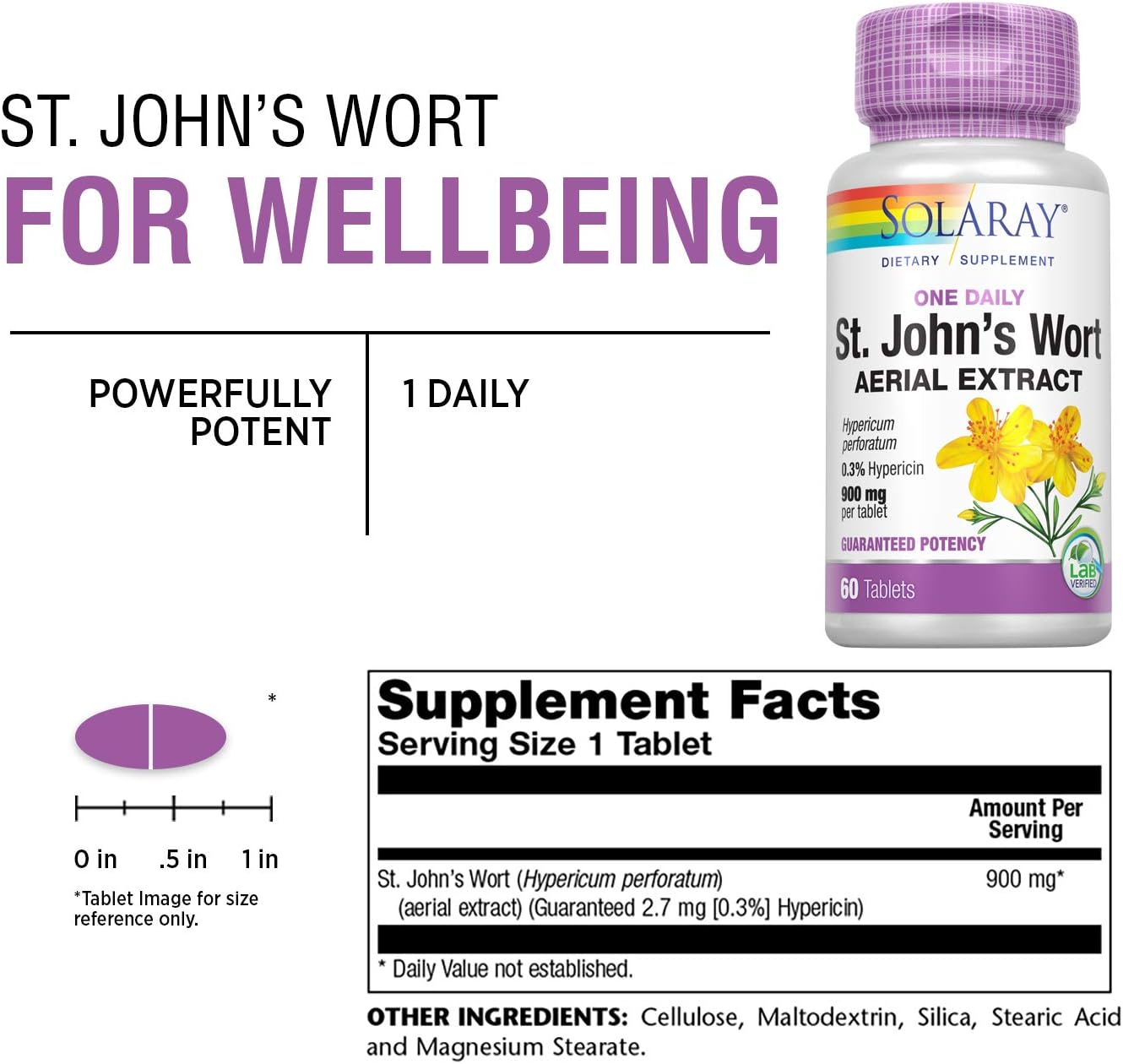 Solaray St. Johns Wort Aerial Extract One Daily 900mg | Standardized w/ 0.3% Hypericin for Mood Stability & Brain Health Support | Non-GMO | 60 Ct: Health & Personal Care
